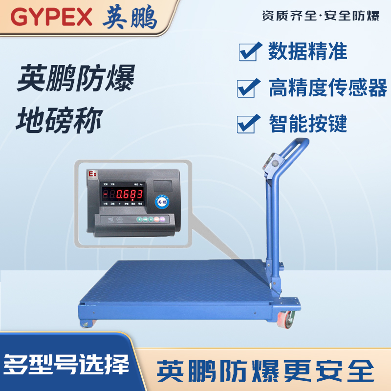 防爆地磅秤 YPEX-600/15(YD)3T