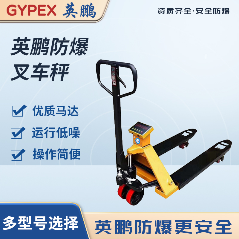 防爆叉车秤 YPEX-600/2-55n